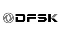 Dfsk